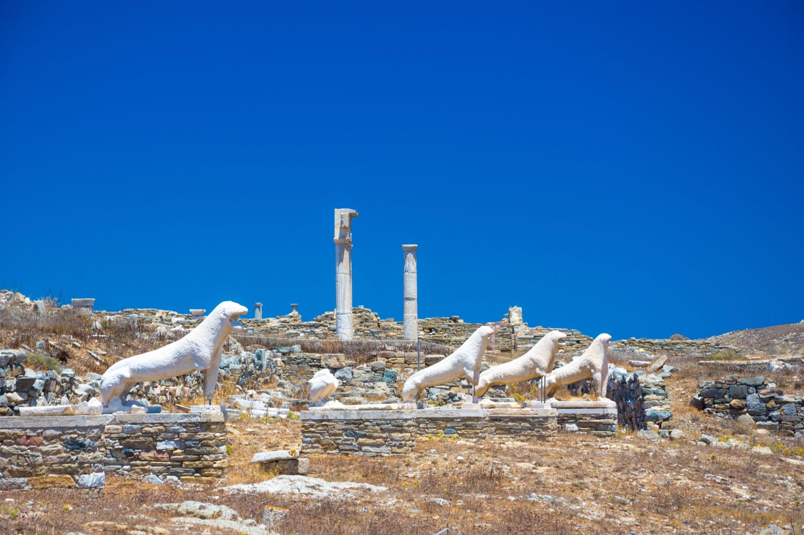 Tailored Delos Tour for Cruise Passengers